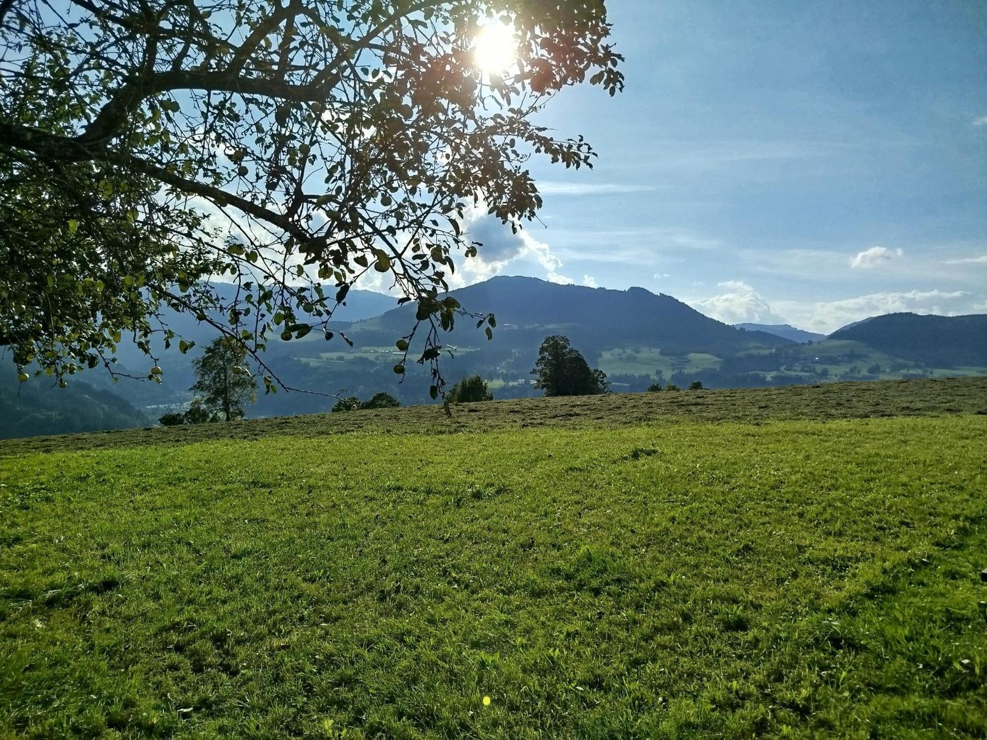 Biobauernhof Schuster Apartment ฮอพฟ์การ์เทน อิม บริกเซนทัล ภายนอก รูปภาพ